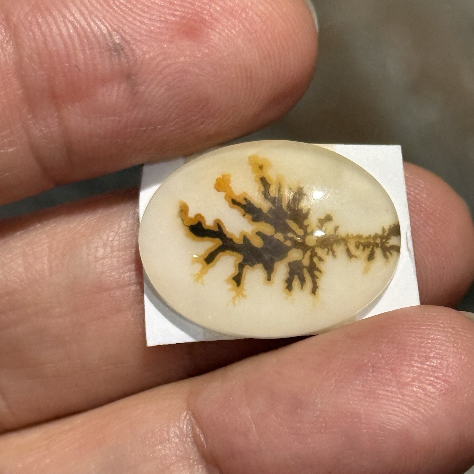 10.7ct 21×15.7×4.2mm Dendritic Agate Crystal Doublet Oval Cabochon Picture Stone