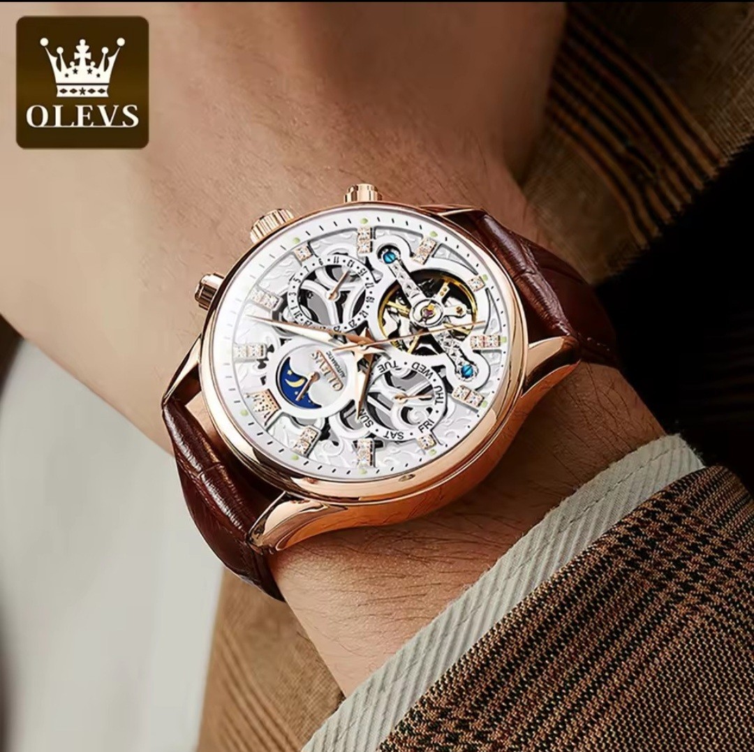 OLEVS Luxury Mechanical automatic Mens Watch With Leather Strap, Waterproof,