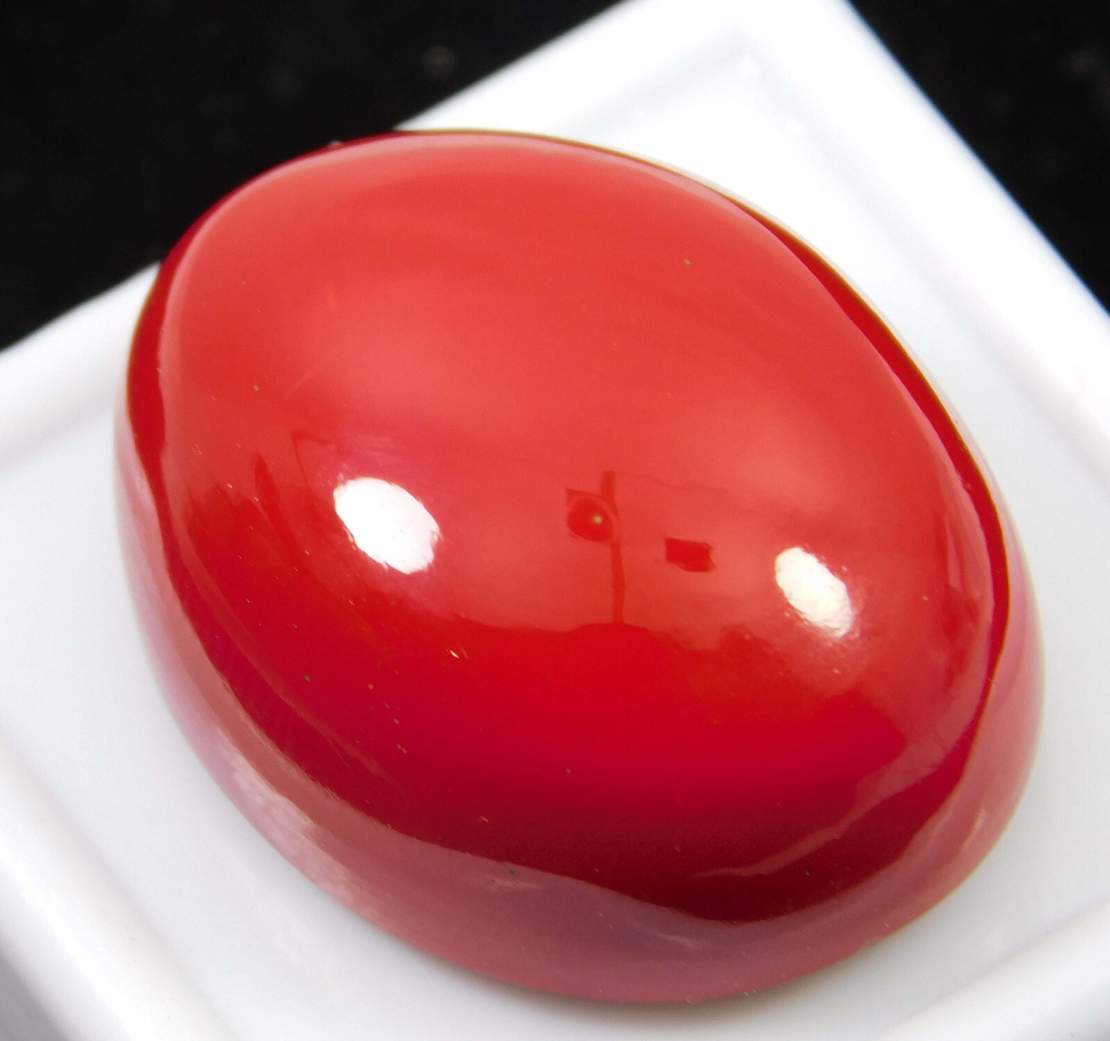 34.45 Ct Natural Italian Red Coral Oval Cabochon Cut Loose Gemstone