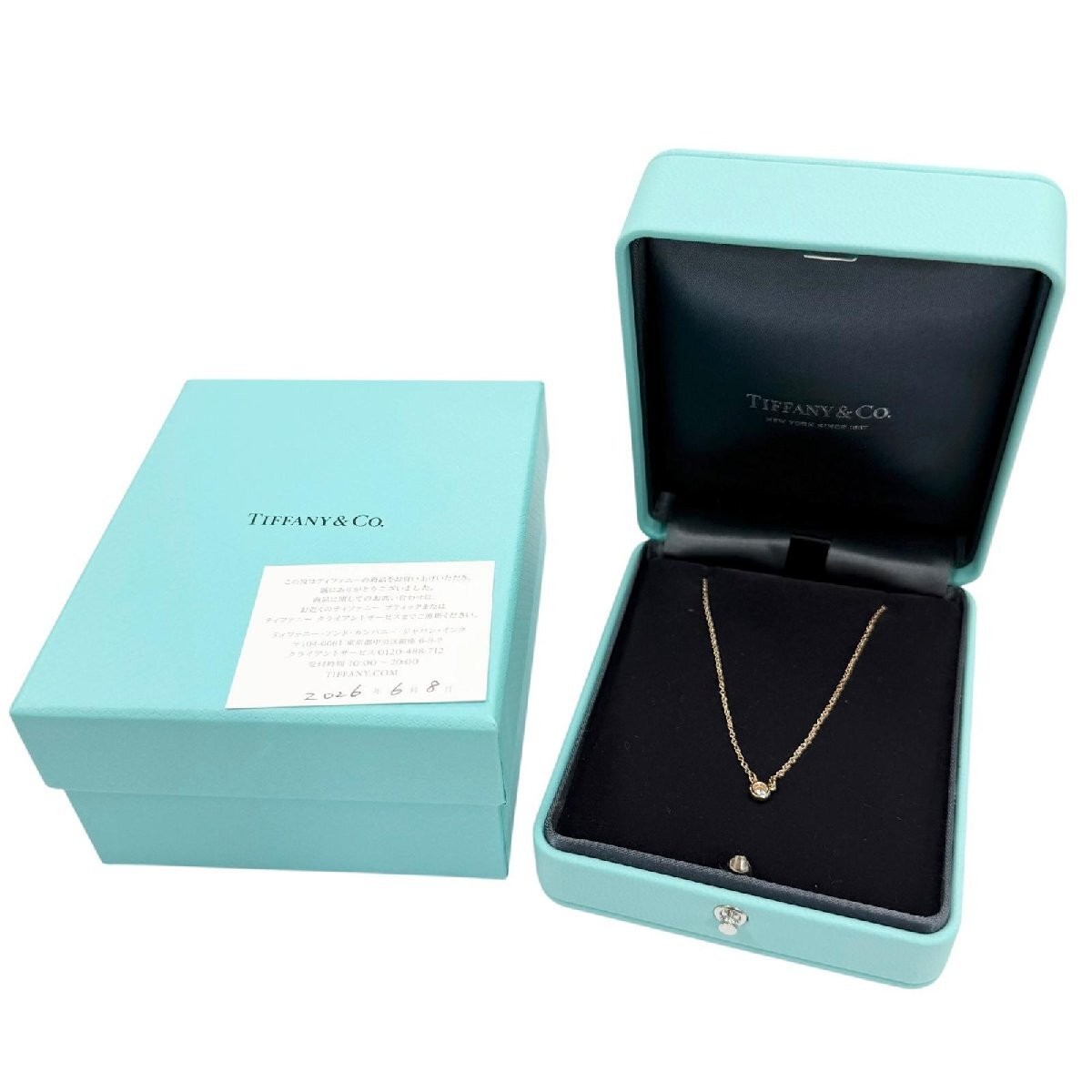 Tiffany & Co. By The Yard 750PG Approx. 0.14CT 1P Diamond Necklace Gold 2.3 g