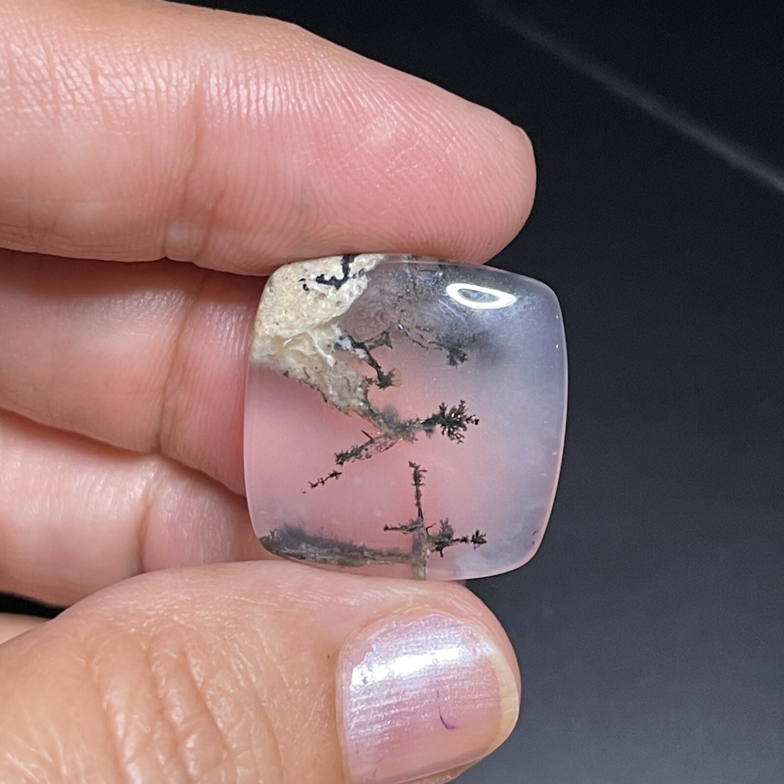 21.3ct 21x21x5.8mm Picture Like Dendrite Agate Smooth Cabochon Collector’s Stone