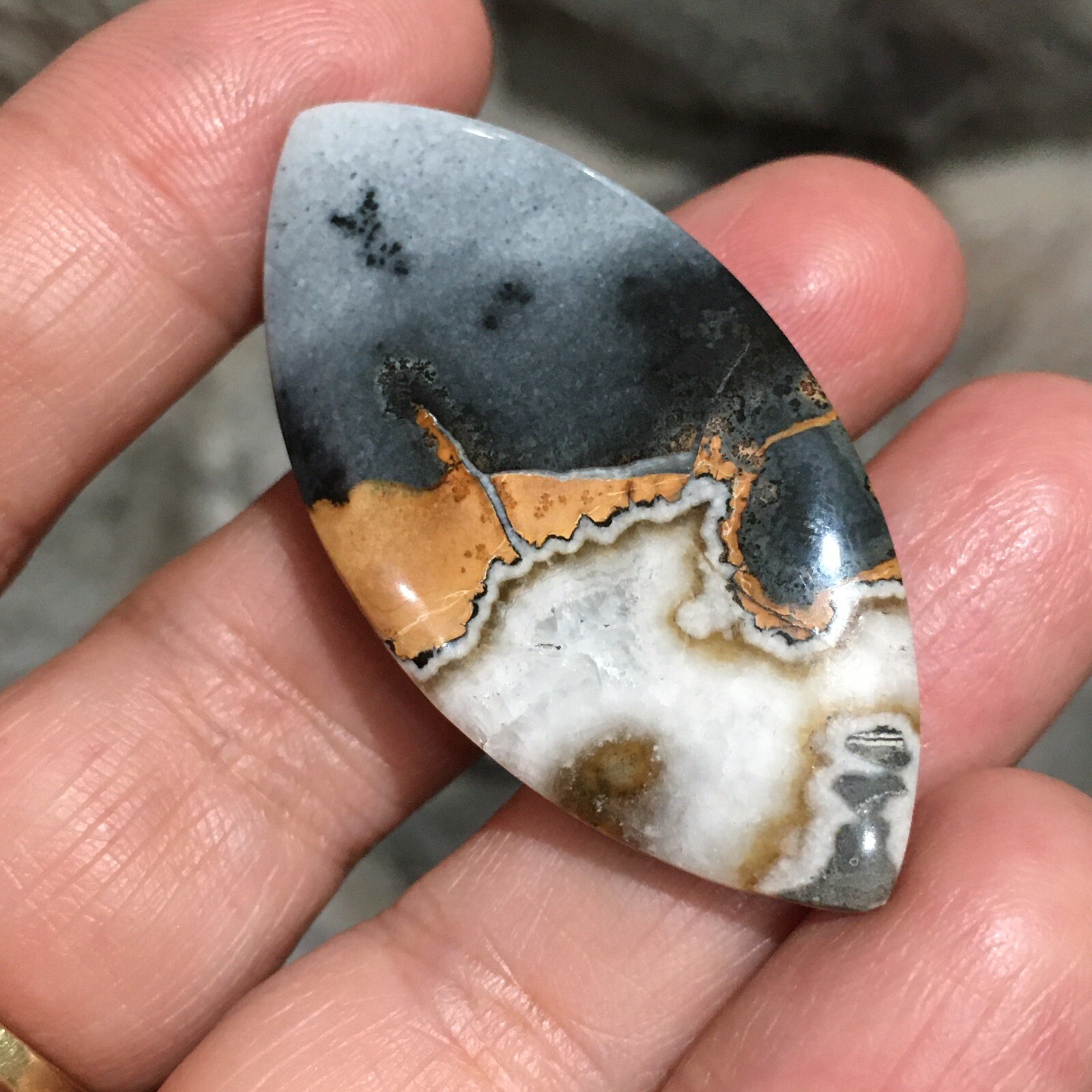 48×23.5×6.9mm Scenic Maligano Jasper Oval Cabochon Collectors Picture Stone