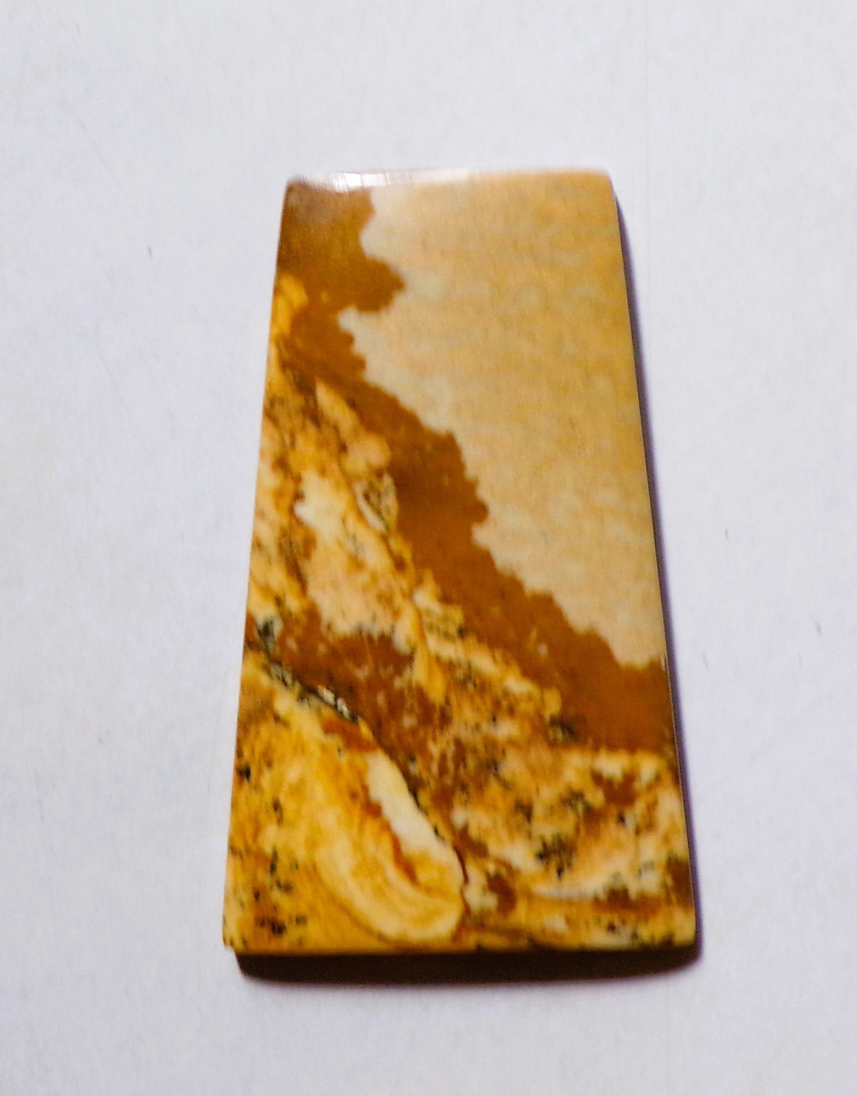 49.15 Cts Natural Picture Jasper Cabochon Loose Gemstone 45X27.3X4MM