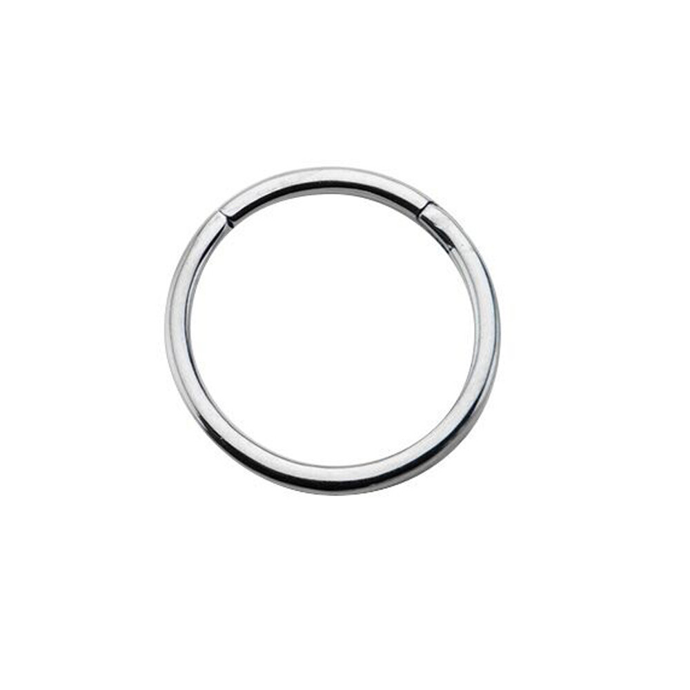 16GA 14GA Seamless Hinged Segment Rings Nose Lips Nipple Septum Nose Piercings