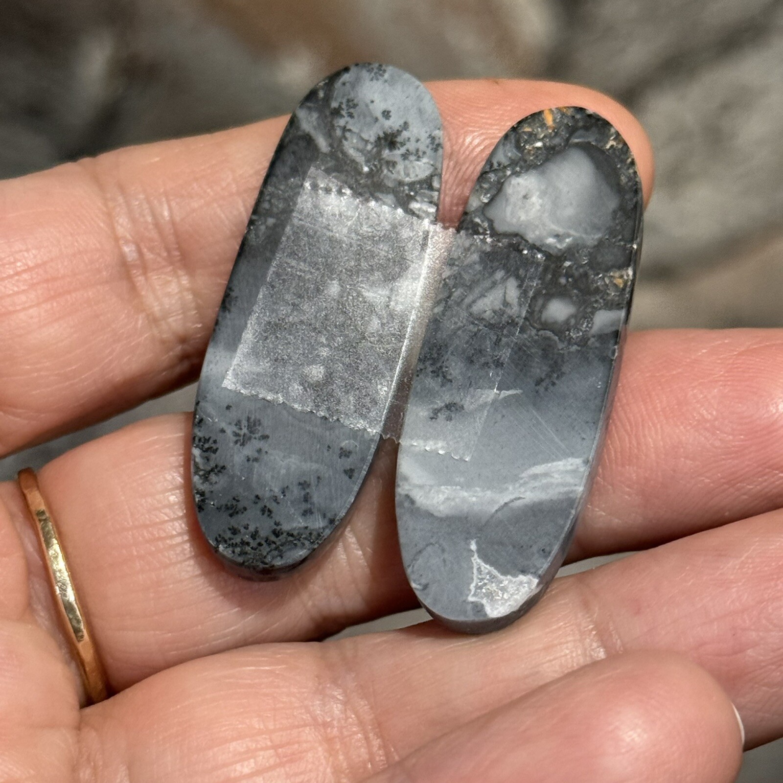 59ct 41×14.5×4.8mm Pair Fine Gray Scenic Oval Picture Maligano Jasper Cabochons
