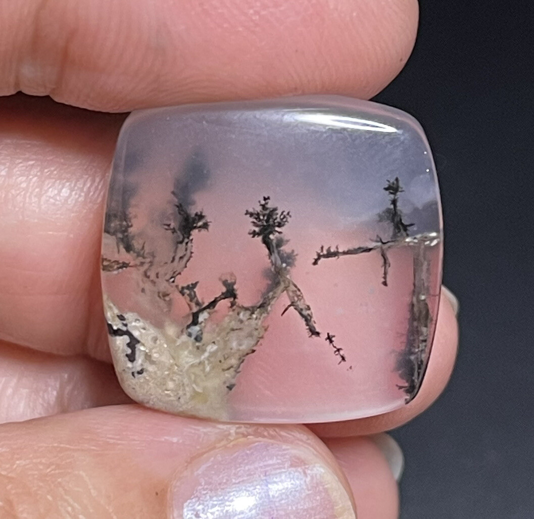 21.3ct 21x21x5.8mm Picture Like Dendrite Agate Smooth Cabochon Collector’s Stone