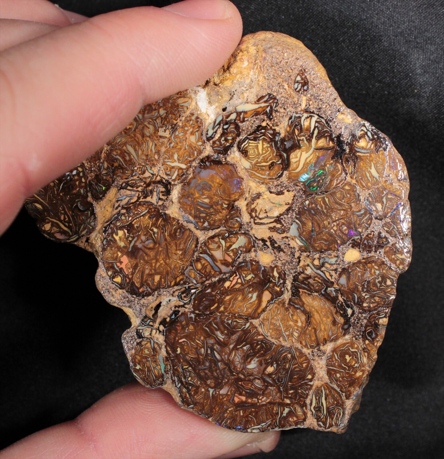 109 gram Koroit Boulder Opal, Queensland, Australia – 6.7 cm across end slice!