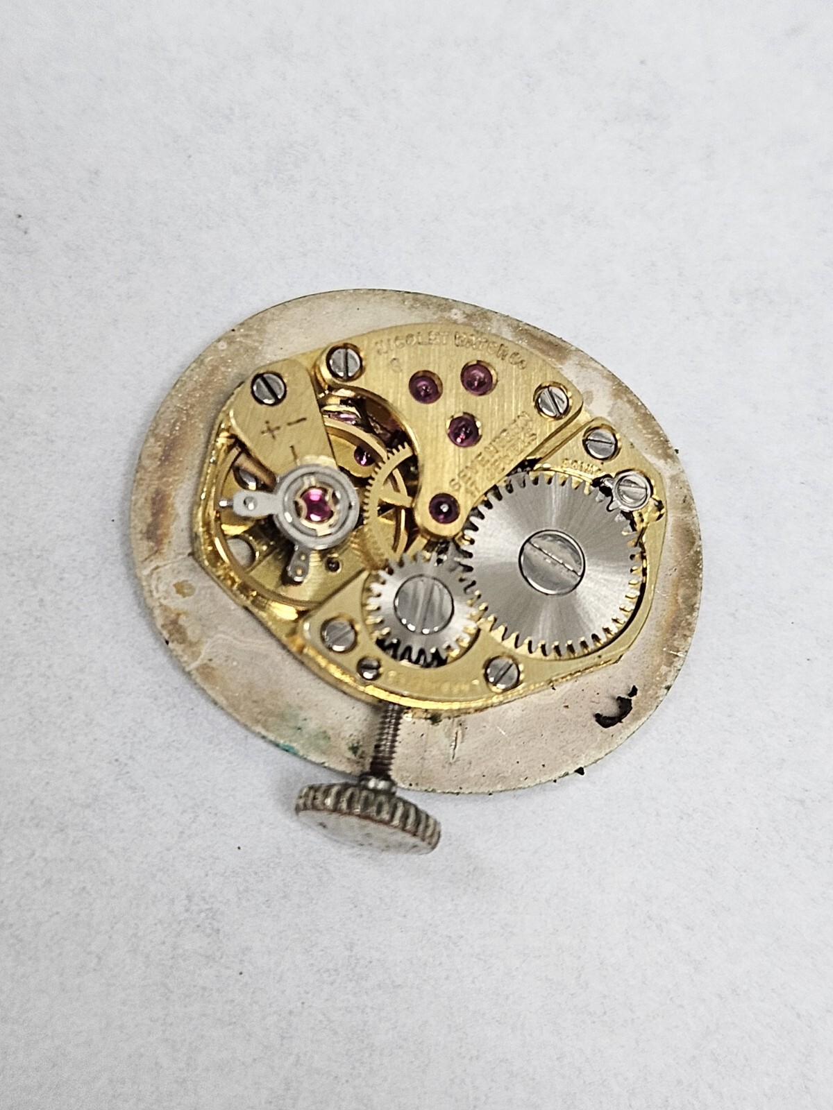 Vintage NICOLET 17 Jewel Watch Meyer Jewelry VIP Lifetime Swiss Mechanical Wind