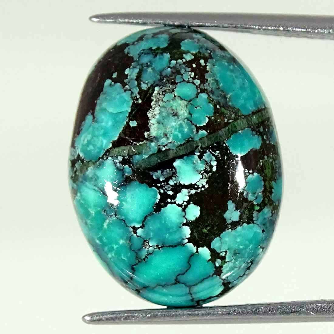 12.70Cts Natural Tibetan Turquoise Oval Cabochon Loose Gemstone 15x19x6mm