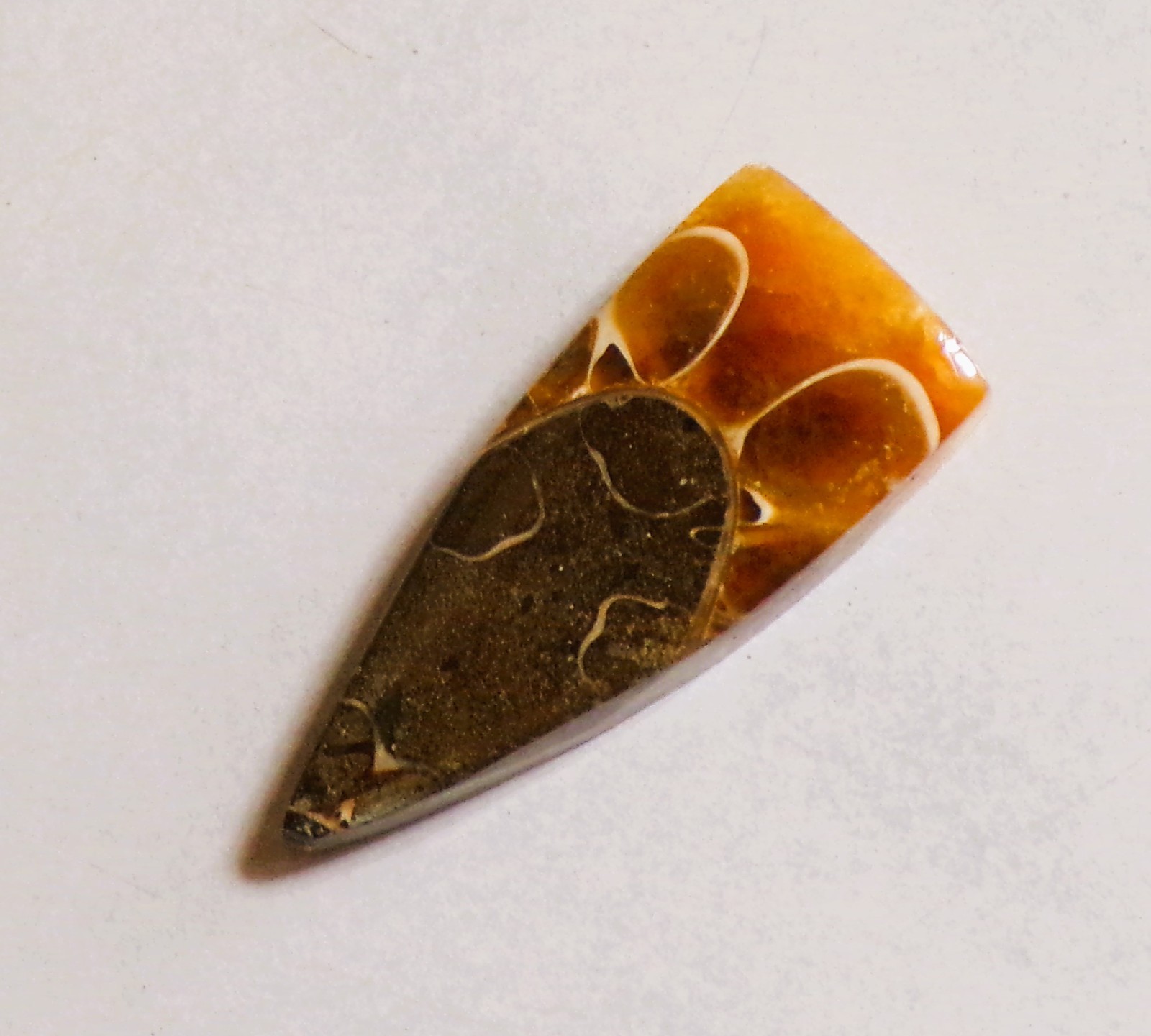 13.45 Cts Natural Ammonite Cabochon Loose Gemstone 26.6X11X5MM DE-02