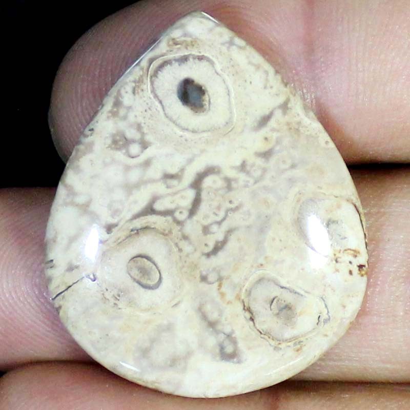 44.45 CT Natural Petrified Wood Agate PEAR Cabochon , Petrified stone 31x36x5 mm