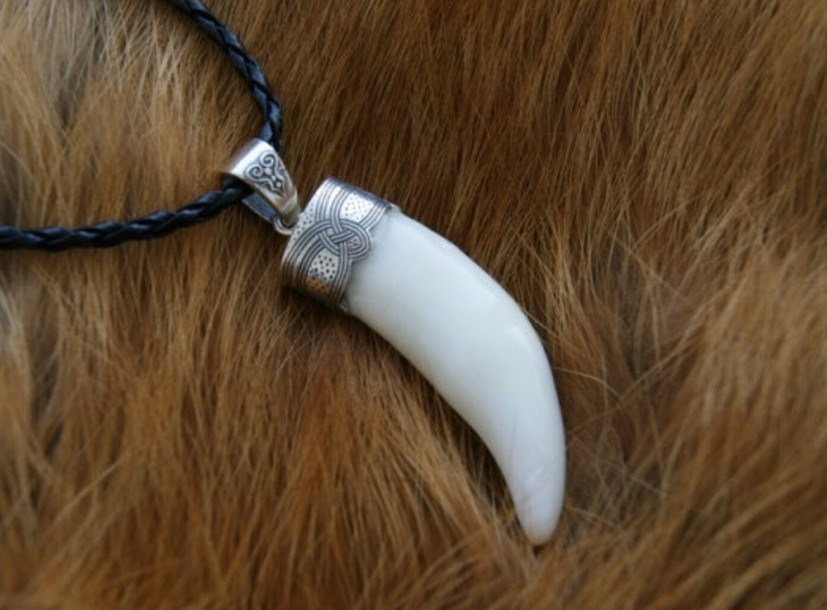 Silver Wolf teeth jewelry Animal Teeth Wolf necklace Wolf head Tooth necklace