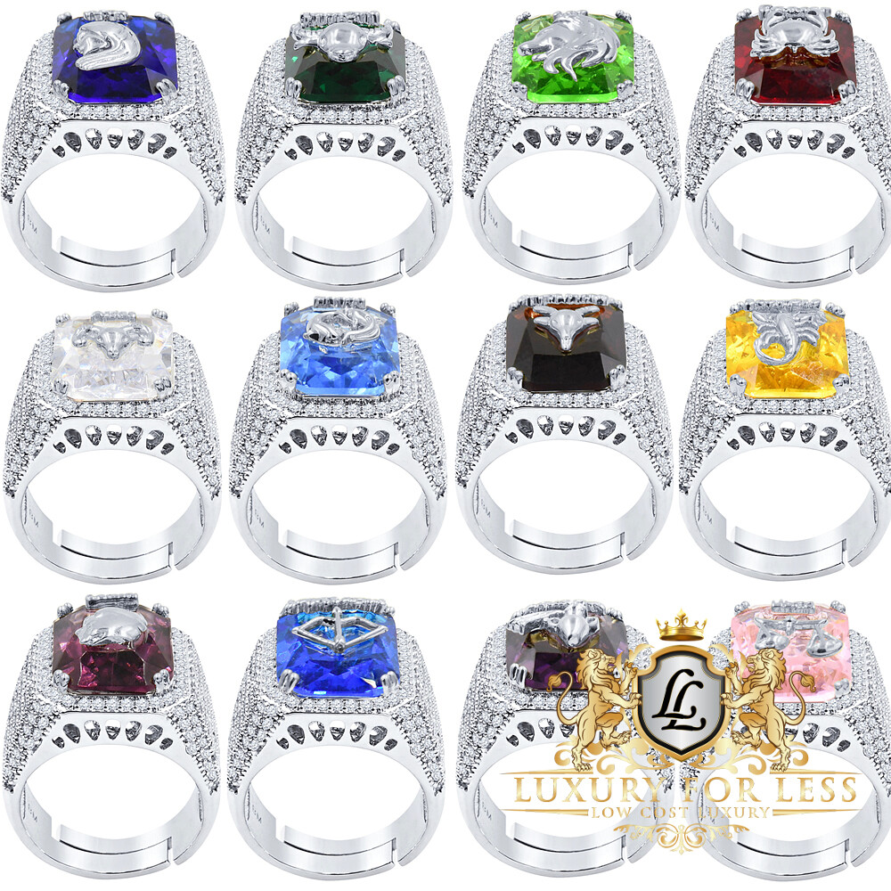 Mens Lucky Birth Stone Zodiac Sign White Gold Finish Good Luck Pinky Ring Band