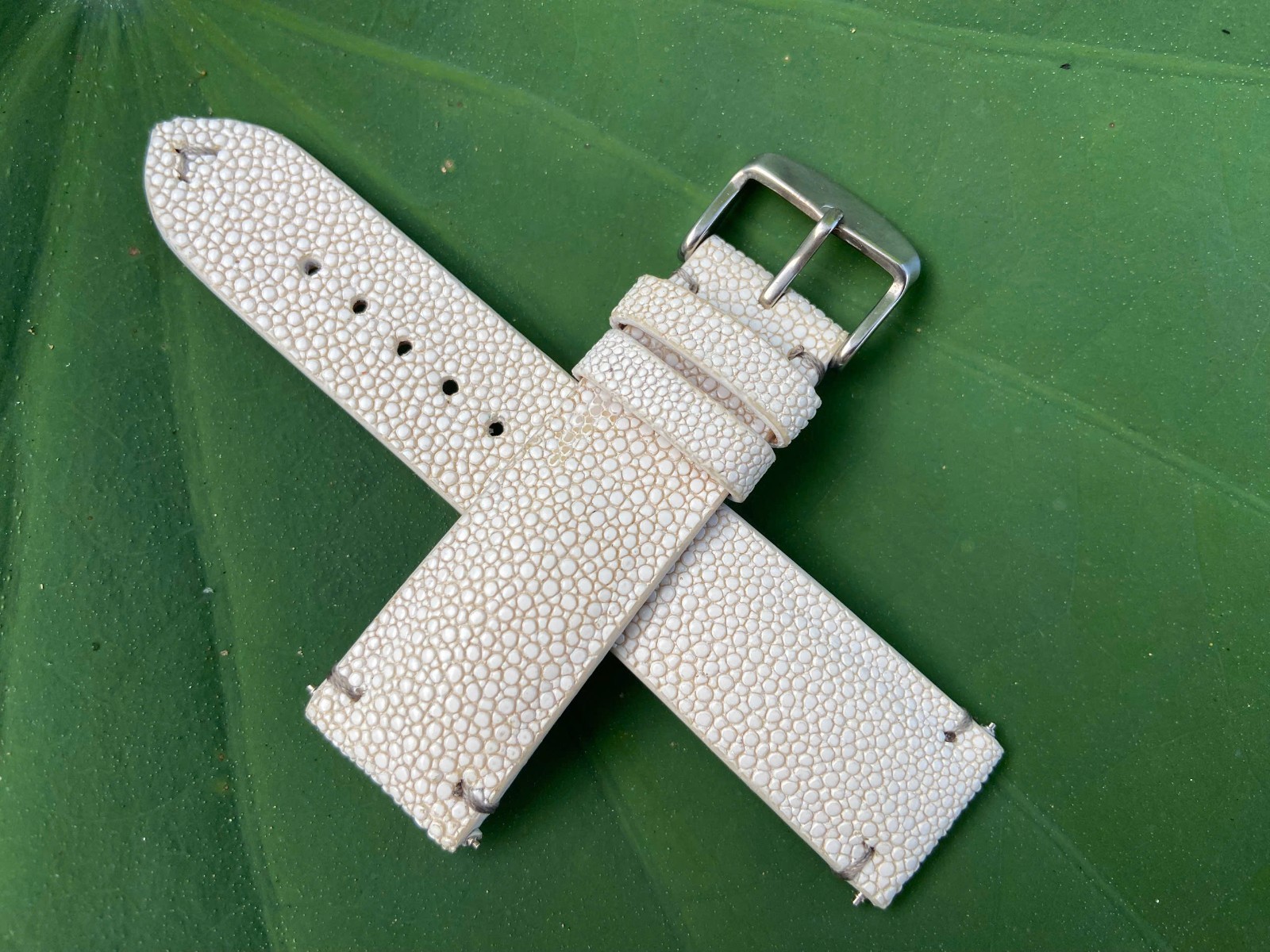 White Stingray Leather Watch Strap Band, Size 18mm 19mm 20mm 21mm 22mm 24mm 26mm