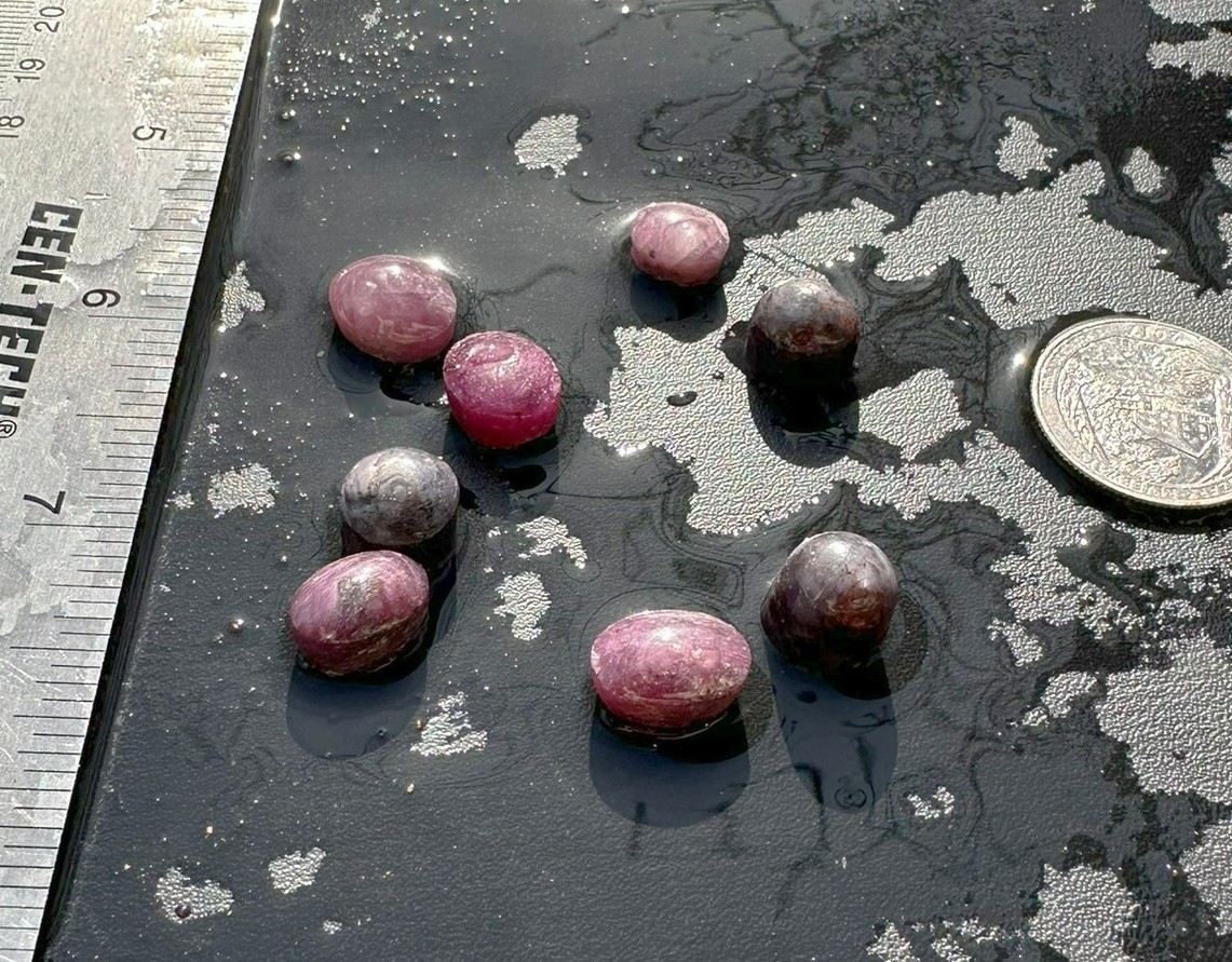 Lot of 8 Natural Star Ruby Star Sapphire Cabochons Rough Gems 95ct