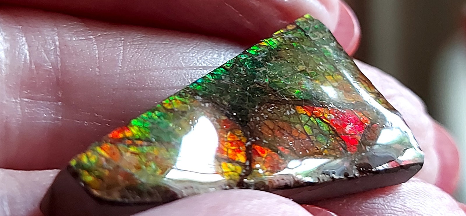 Ammolite Ammonite Coated Stone Color Changer 35.4×19.5×4.2mm 5340