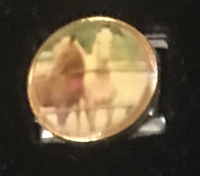 Horses Italian Charm Enamel Link 9MM K47