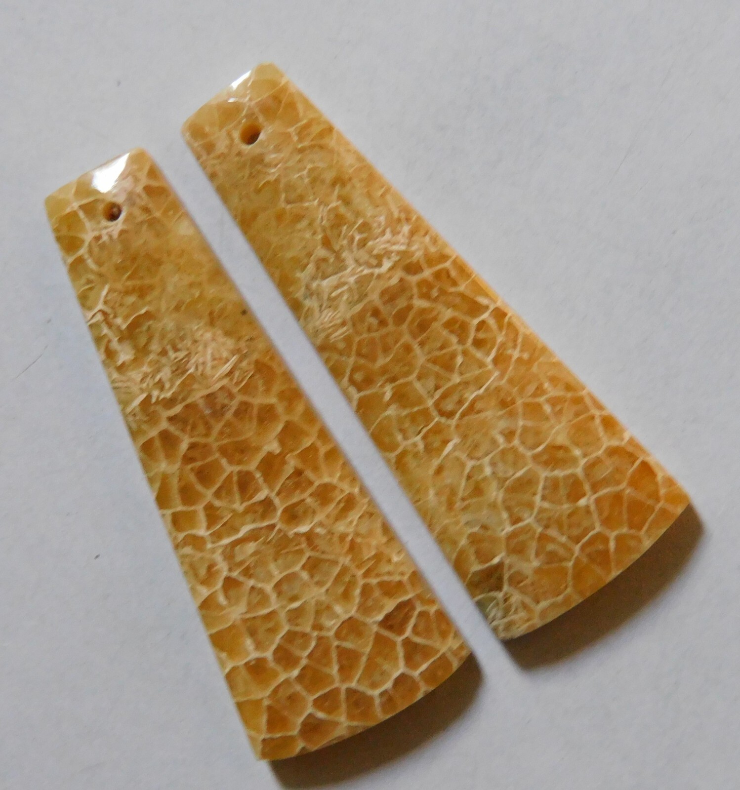 31.75 Cts Natural Fossil Coral Drilled Cabochon Match Pair Gemstone 35.6X13.3MM