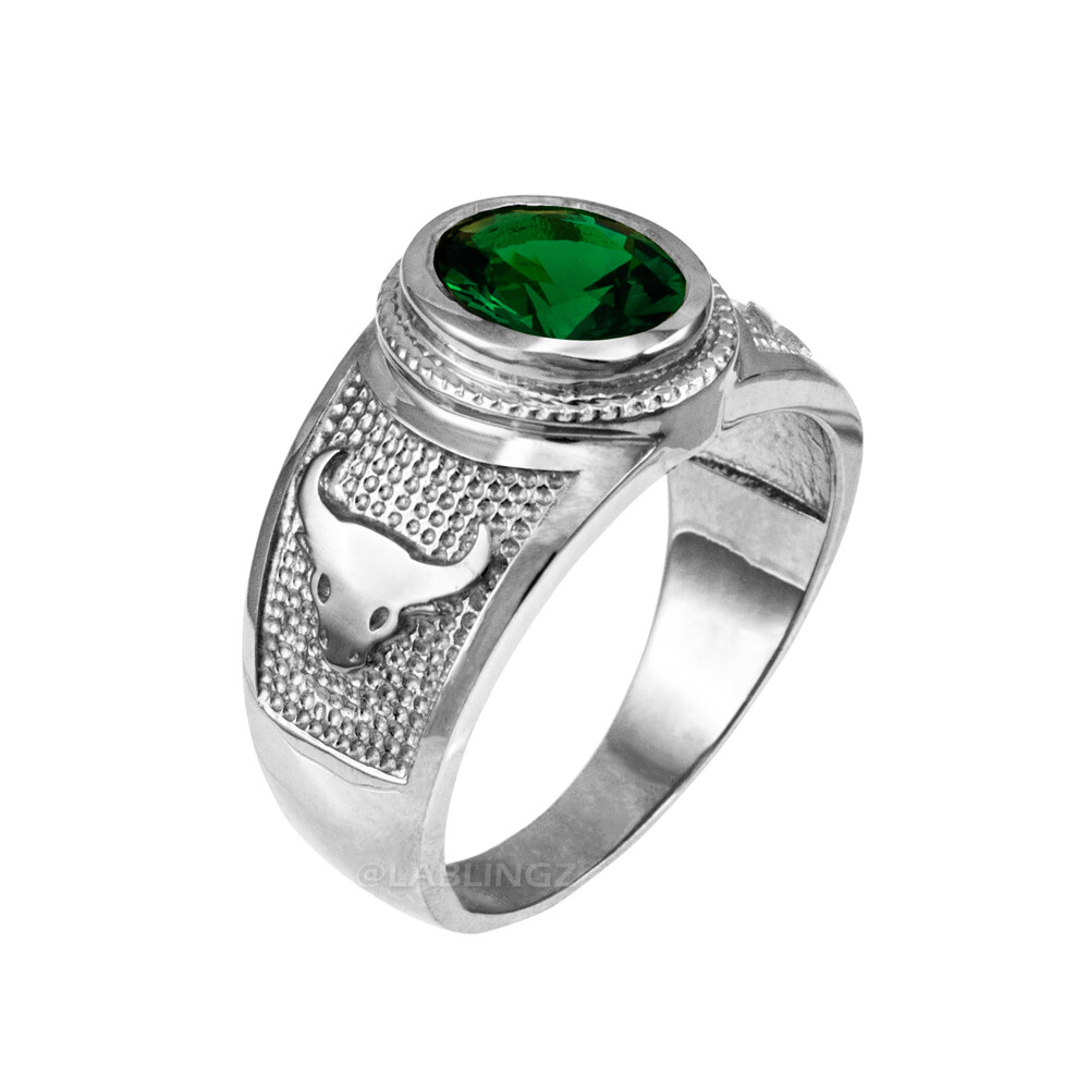 Sterling Silver Zodiac Sign Birthstone CZ Ring