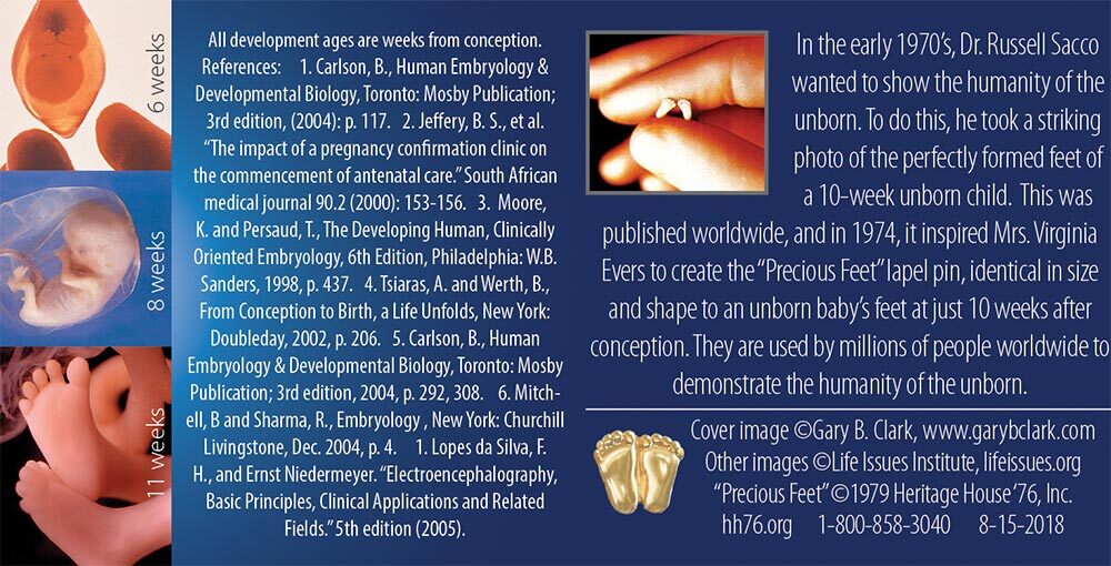 Precious Feet, Gold-Colored, Fetal Development Card Jewelry, Lapel Pin