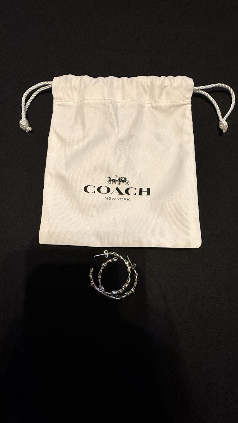 Coach Silver Cable Chain Charm Bracelet Adjustable Lobster Closure & Earrings