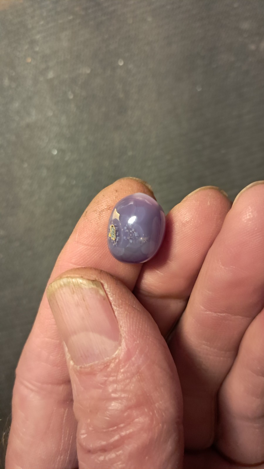 Holly Blue Agate Cabochon 15×12.2mm Oval