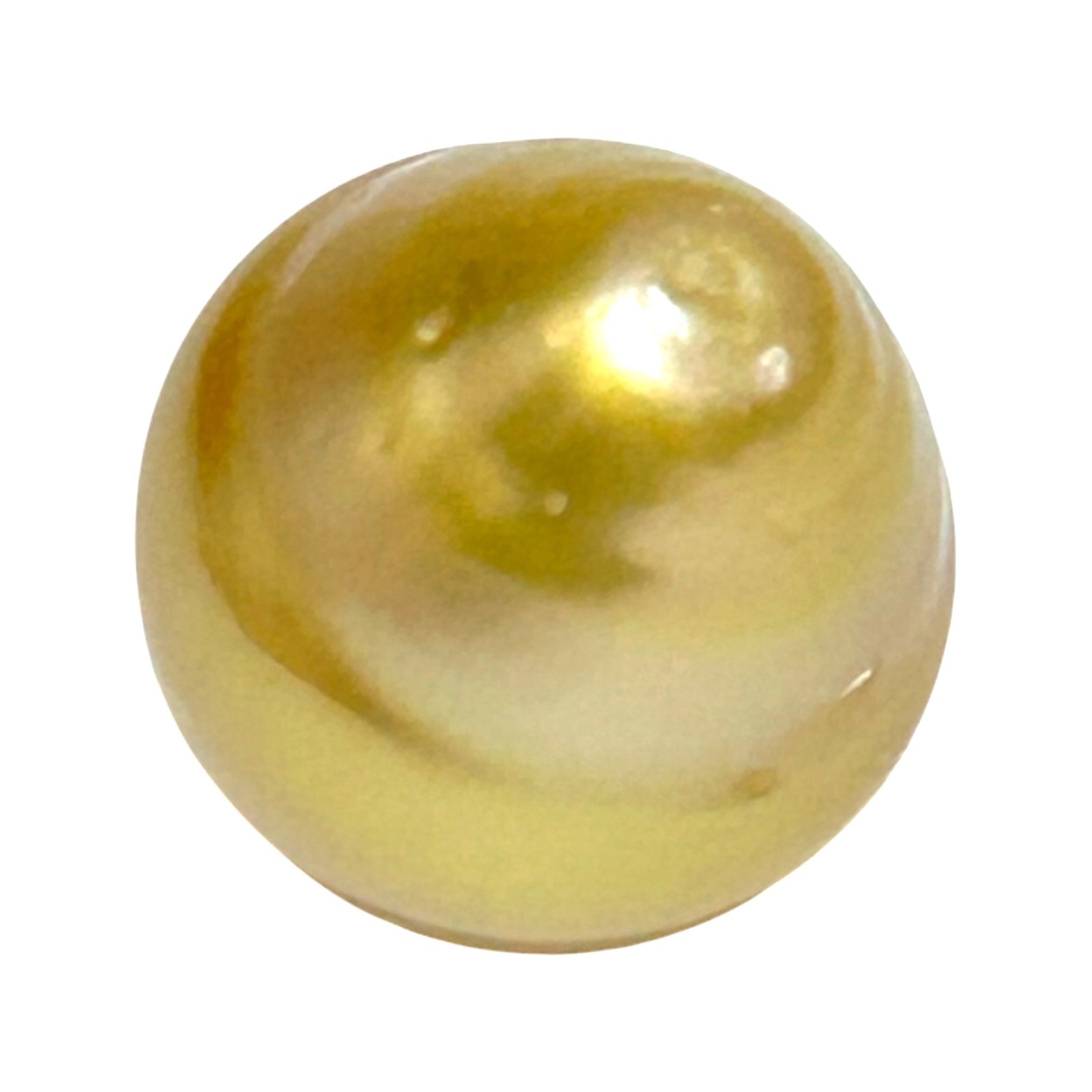 Magnificent Oval 14.6 x 16.8mm 23.2 Carats Lustrous Golden Philippine Sea Pearl