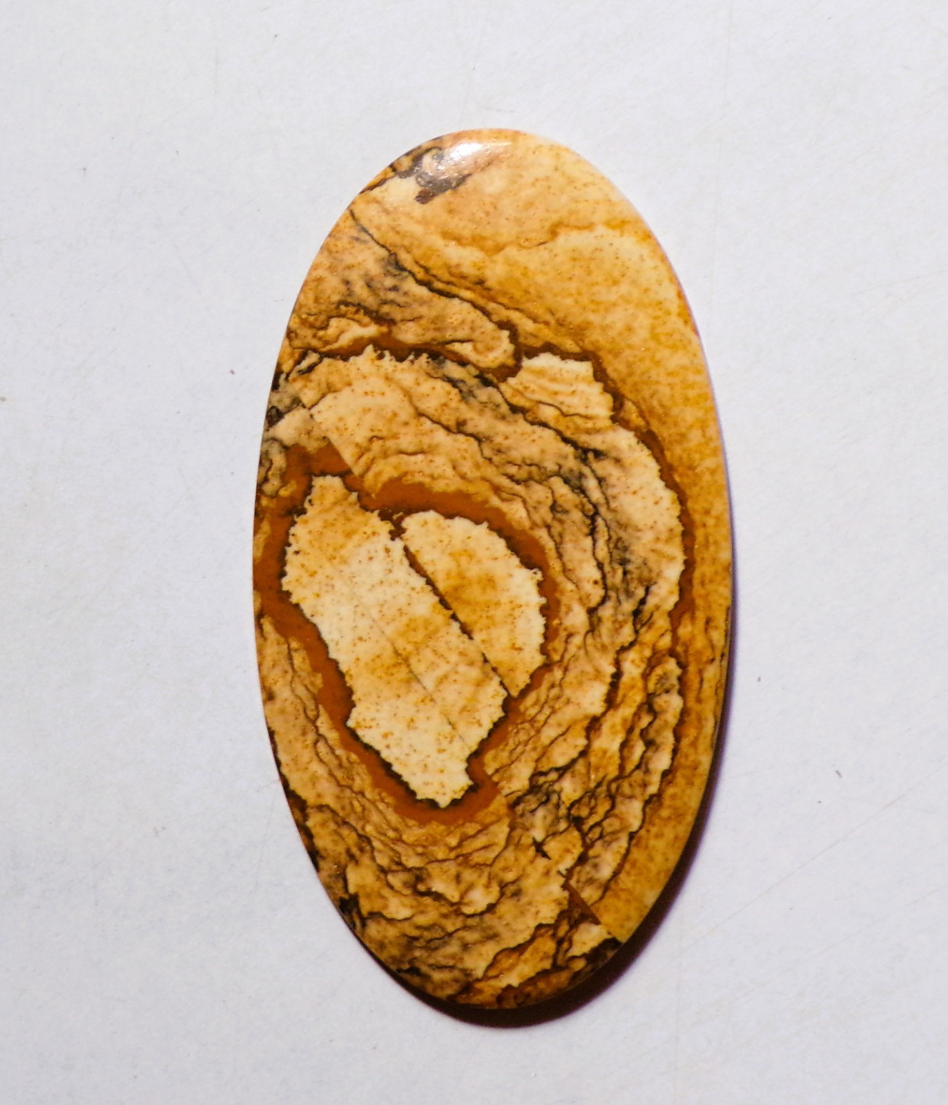 51.25 Cts Natural Picture Jasper Cabochon Loose Gemstone 55X30X4MM