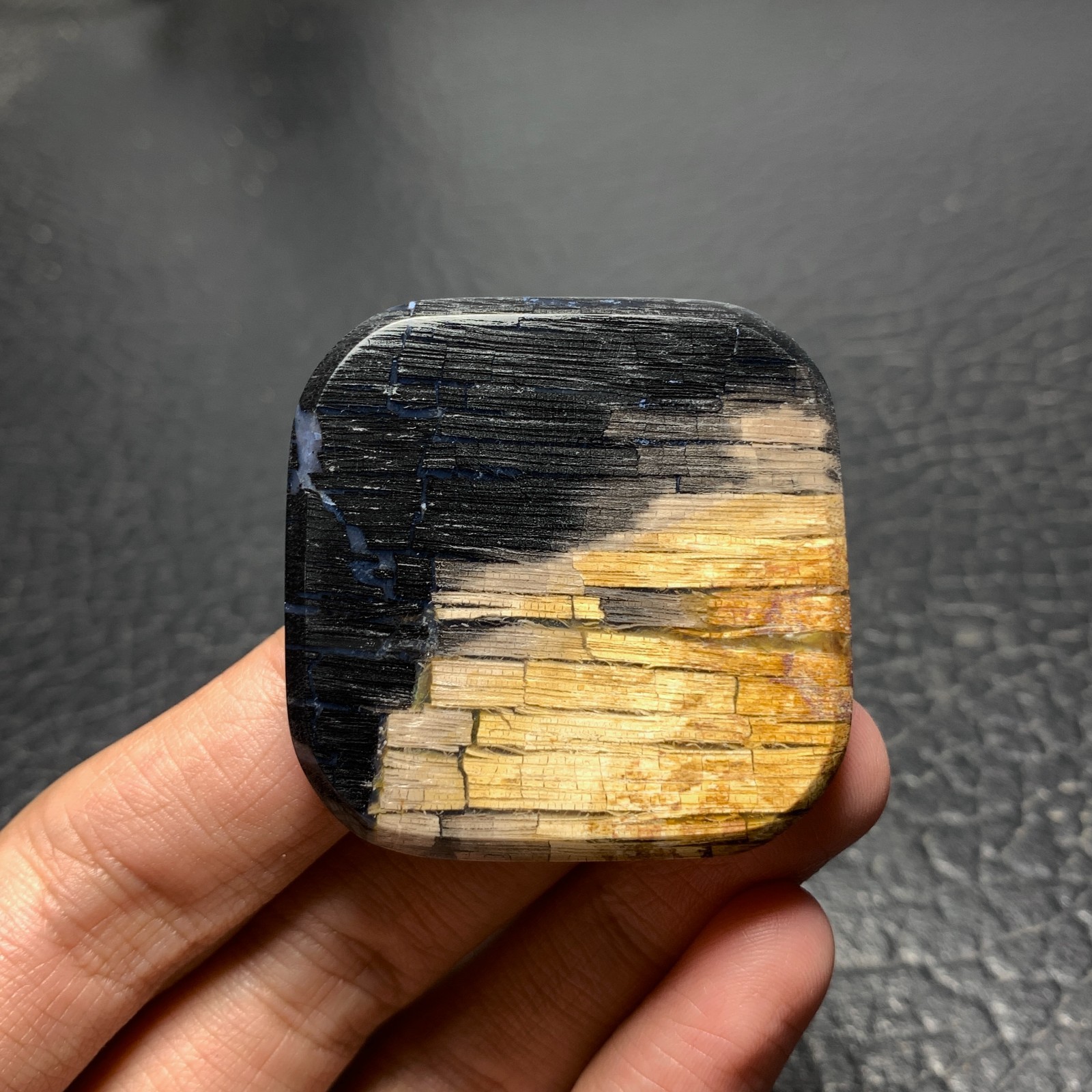 Petrified Wood Cabochon 41.5×41.5x6mm High Quality 105 ct