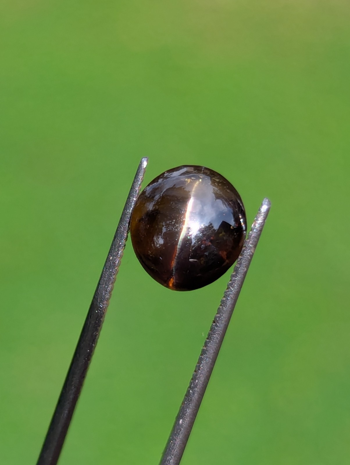 Natural Chrysoberyl Cat’s Eye 3.19ct | CSL Certified | Brown | No Treatment