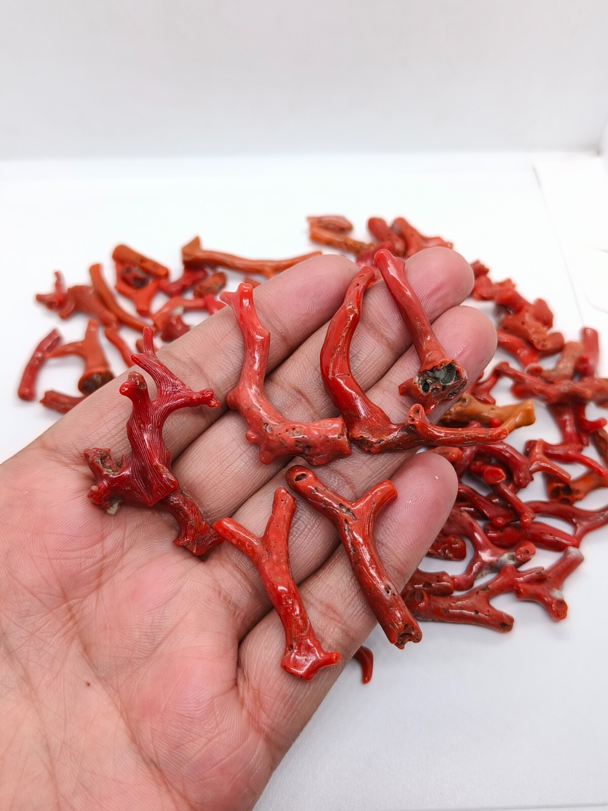 100 Crt Lot Mediterranean Sea Red Coral Rough Branch-Natural Red Coral Branch