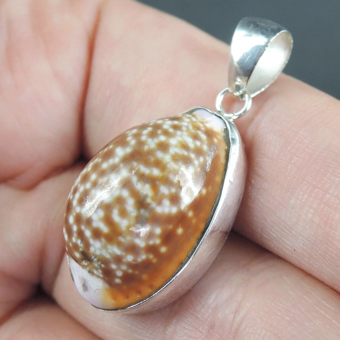 925 Sterling Silver Small Spotted Brown Cowrie Shelll Pendant Jewelry, CSP-45