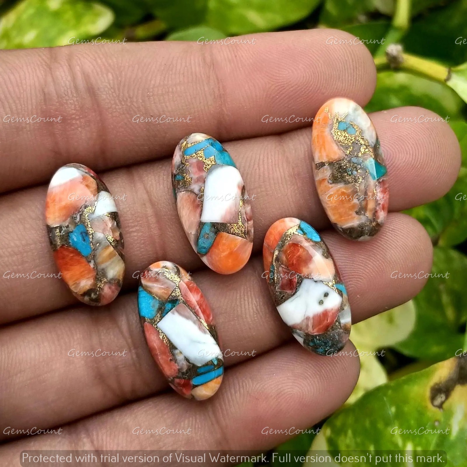 Natural Oyster Turquoise Long Oval Polished Cabochon Gemstone 5x10mm-15x30mm
