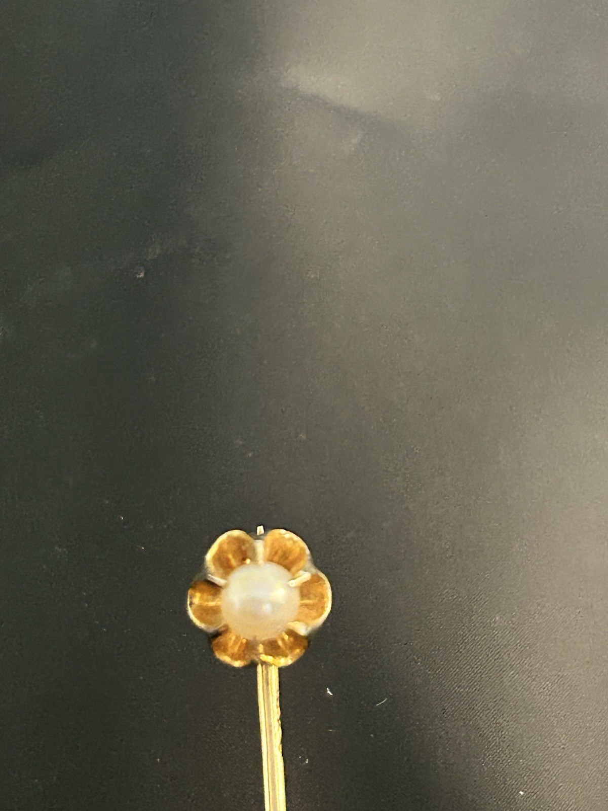 Antique Larter & Sons 14K Yellow Gold Seed Pearl Stick Pin in Presentation Box