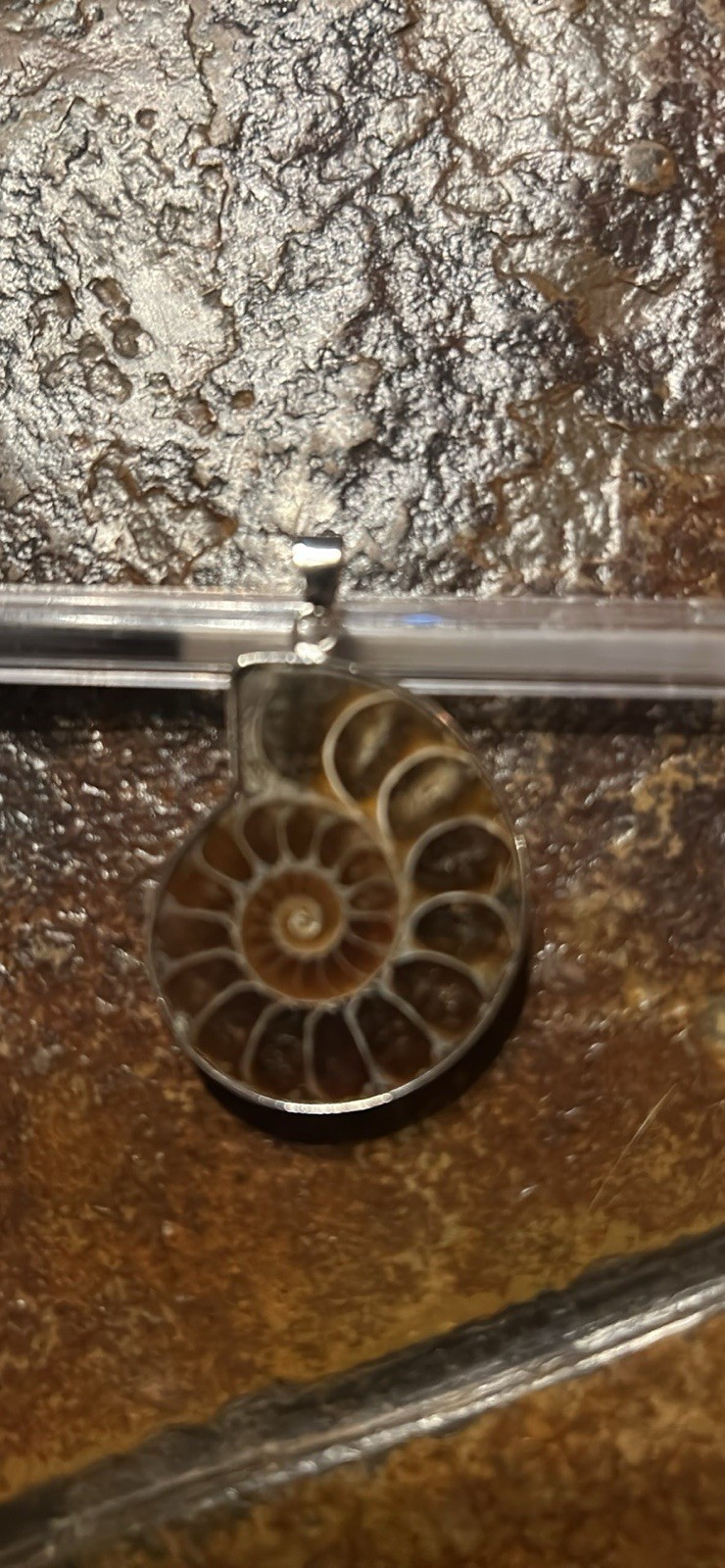 Ammonite Fossil Round Amulet Pendant .