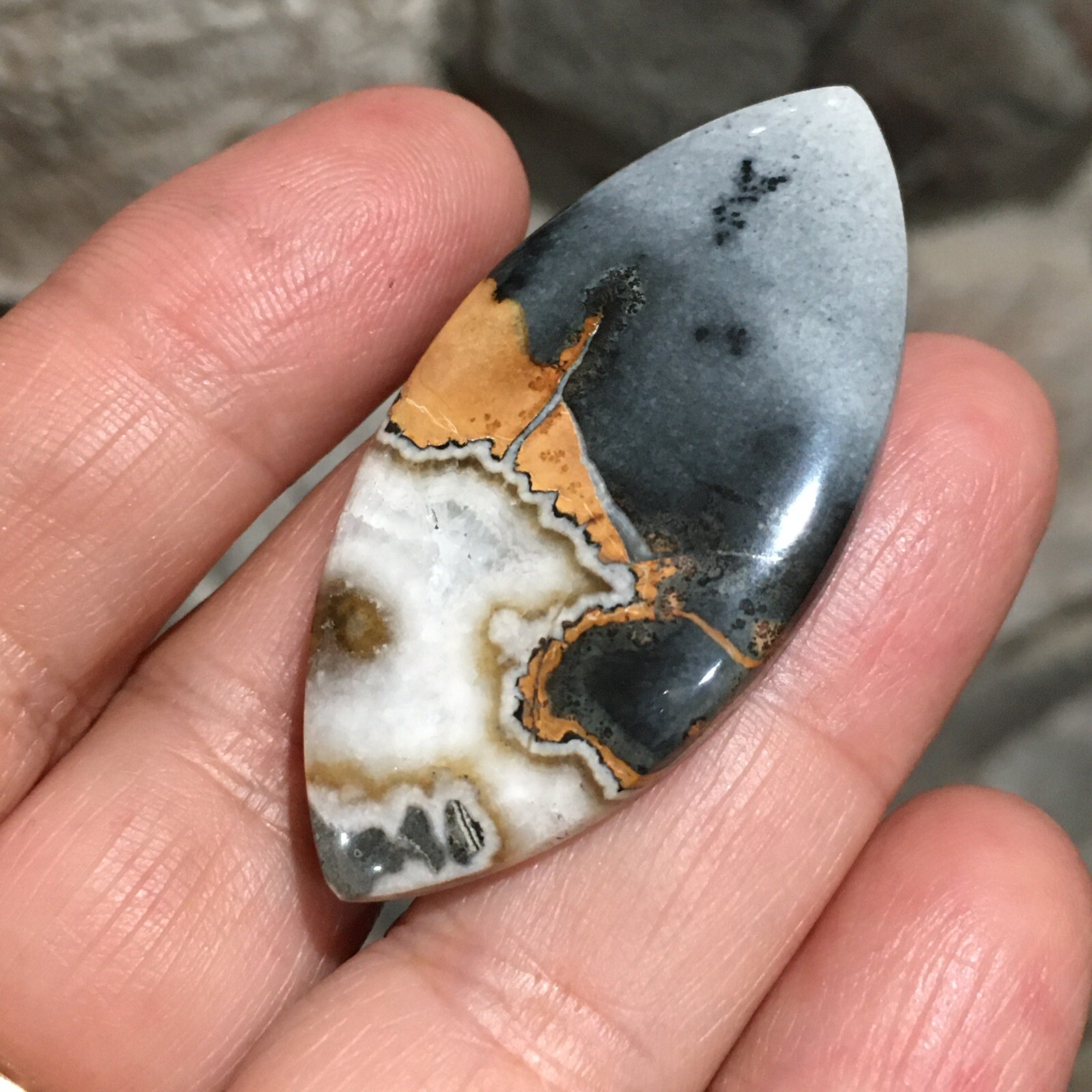 48×23.5×6.9mm Scenic Maligano Jasper Oval Cabochon Collectors Picture Stone