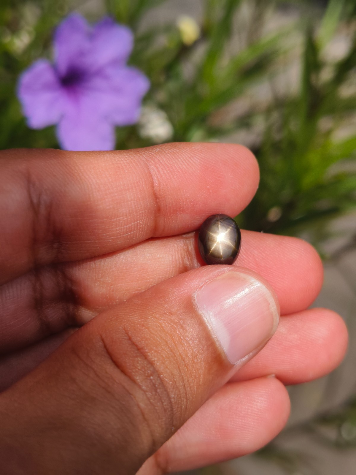 3.48 Cts A BEAUTIFUL NO HEAT BLACK STAR SAPPHIRE OF PERFECT 6 RAYS STAR ✨