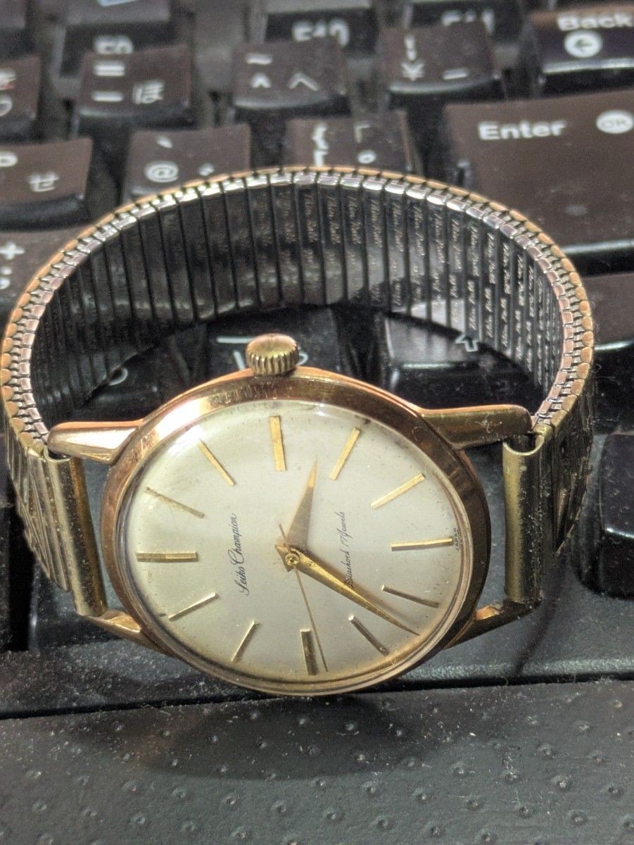 Seiko Champion Diashock 17 Jewels 20 Microns EGP Antique