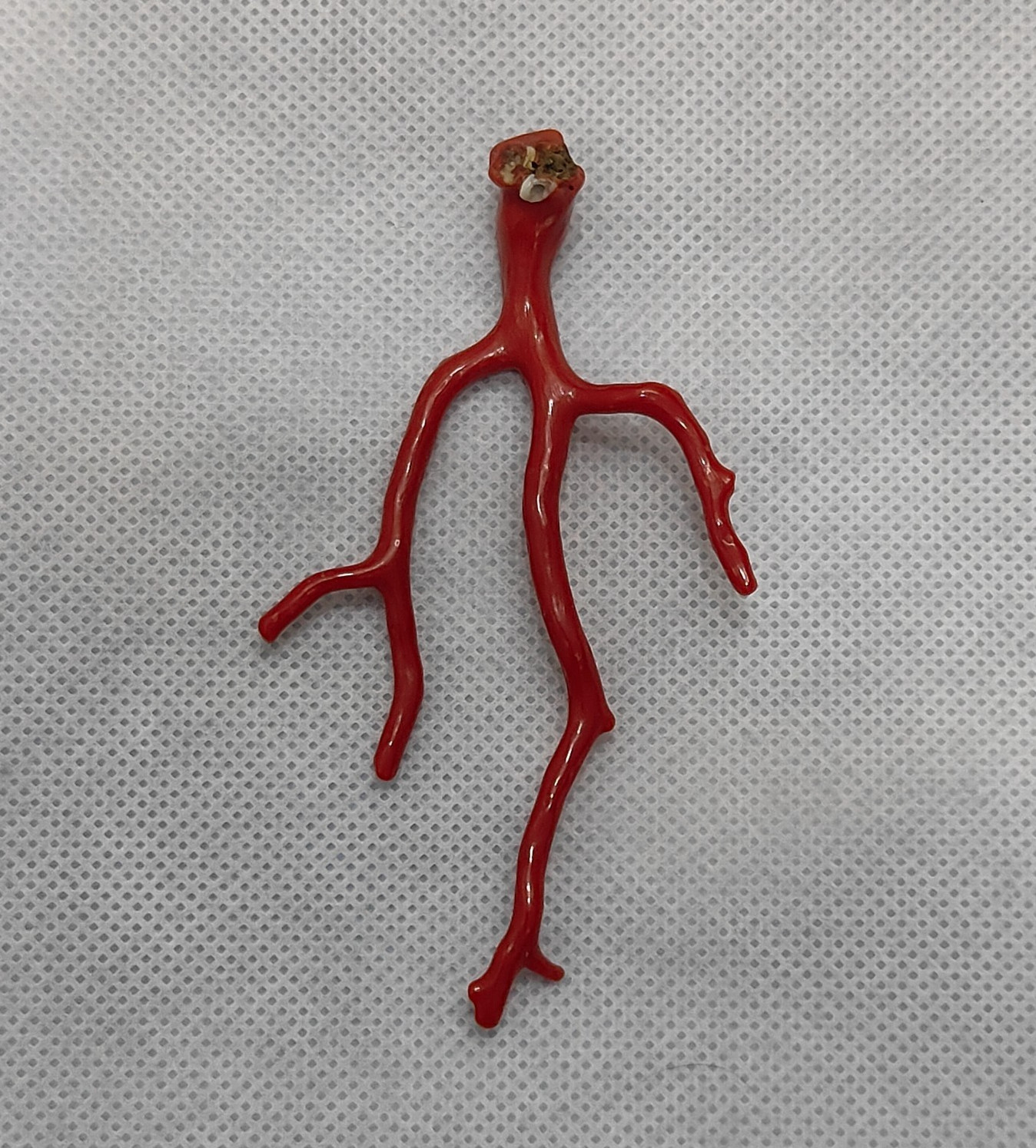 Top Quality Red Coral Tree Branch Gemstone-Mediterranean Red Coral Polish Branch