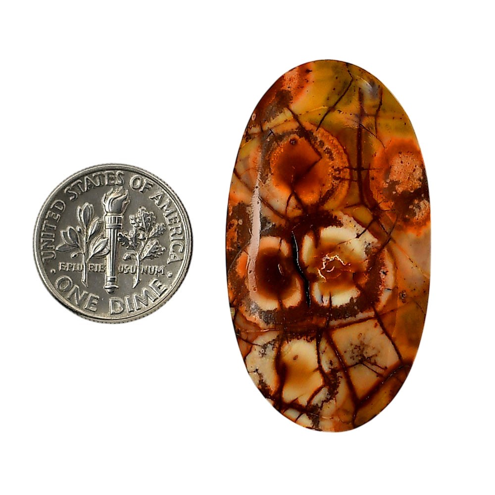 Mexican Bird Eye 22.75×41.2×5.8 mm Oval Shape Polished Gemstone LS92-05742