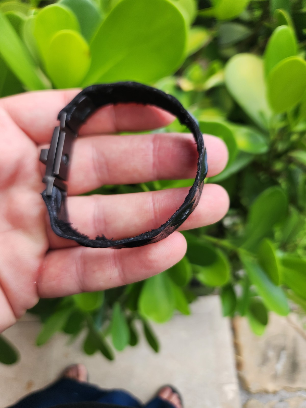 Women bracelet cuff genuine Alligator Crocodile scutes leather bracelet 6.5 size