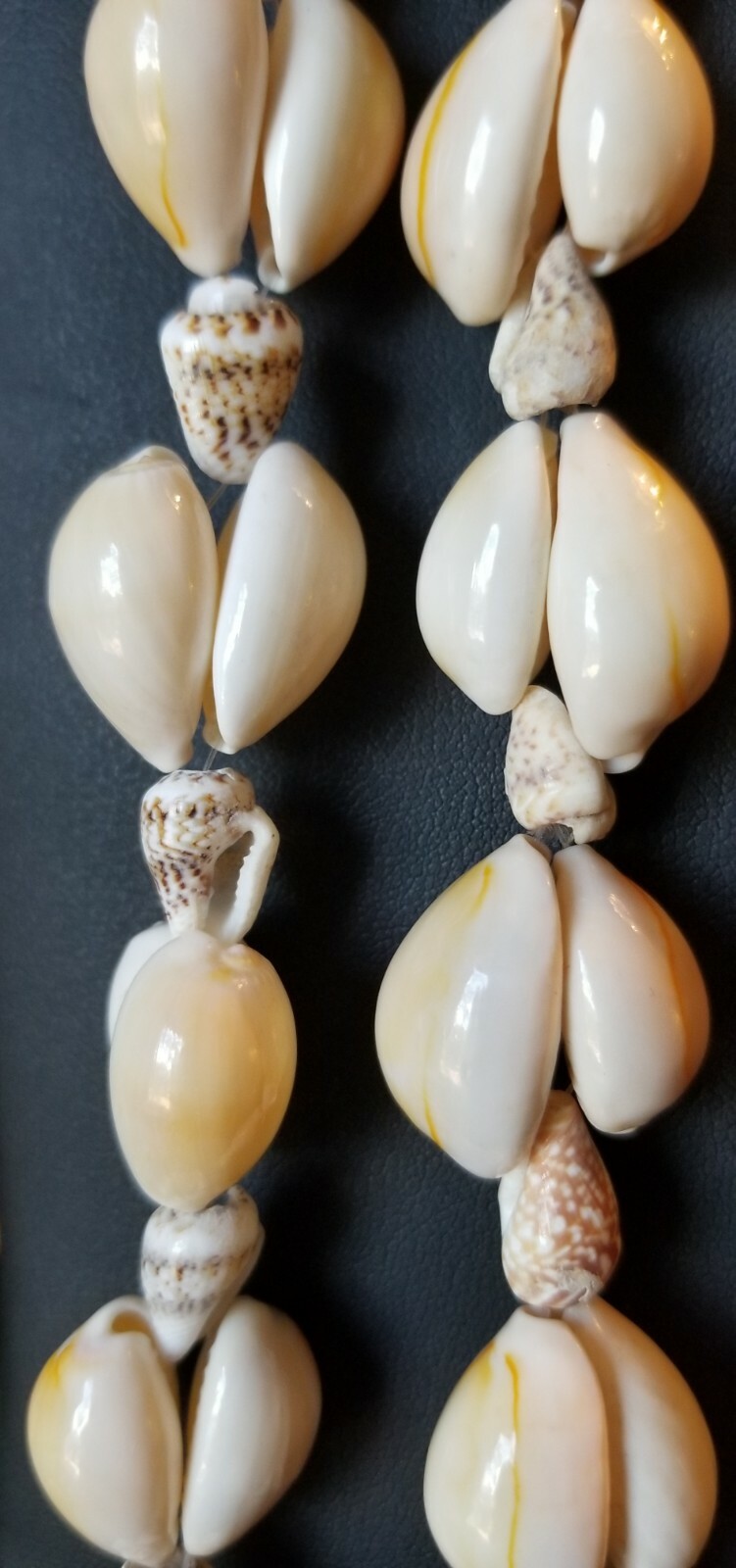 SHELL NECKLACES , TWO , 34 Inches long , 3/4 & 1/2 Inch diameter