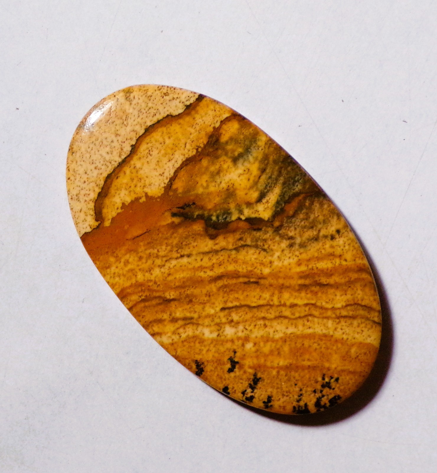 48.70 Cts Natural Picture Jasper Cabochon Loose Gemstone 45X26X5MM