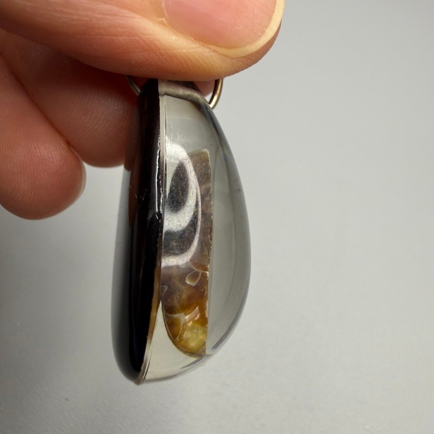 Ammonite Fossil in Clear Resin Teardrop Pendant Suspended