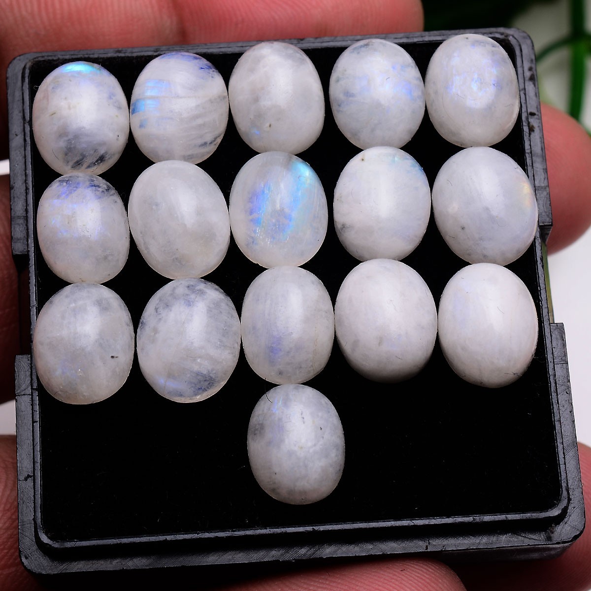 16 Pcs Natural Blue Shine Moonstone 11mmx9mm Oval Cabochon Untreated Gemstones