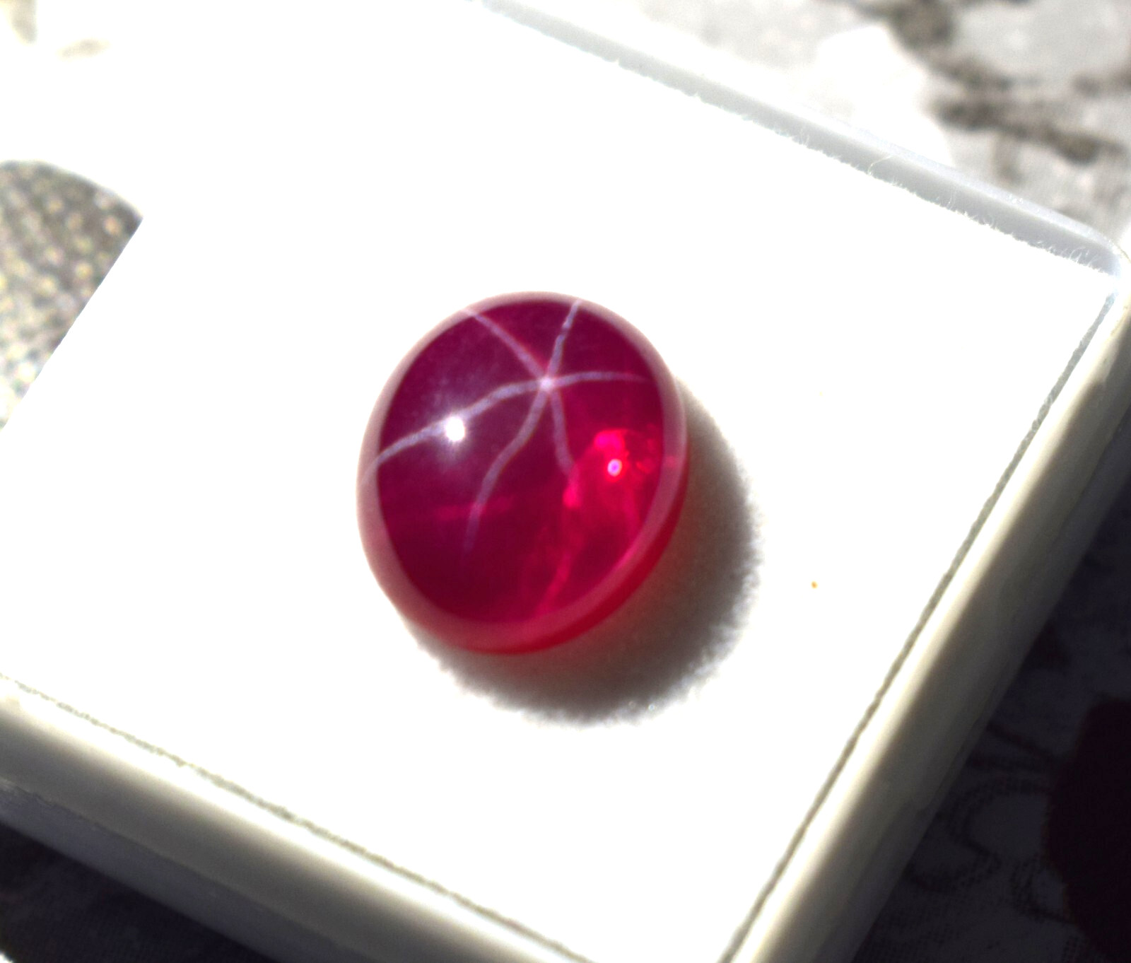 Certified Oval Cabochon 5.75 Ct Natural 6 Rays Red Star Ruby Loose Gemstone