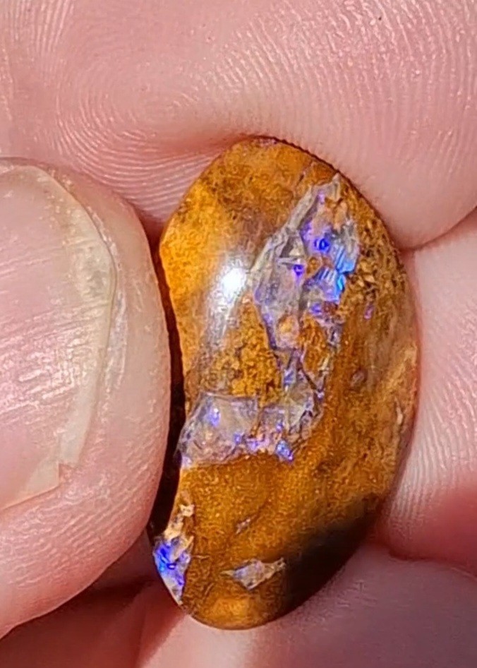 12.5ct Wood replacement Qld boulder opal. Vibrant iridescent blue & purple flash