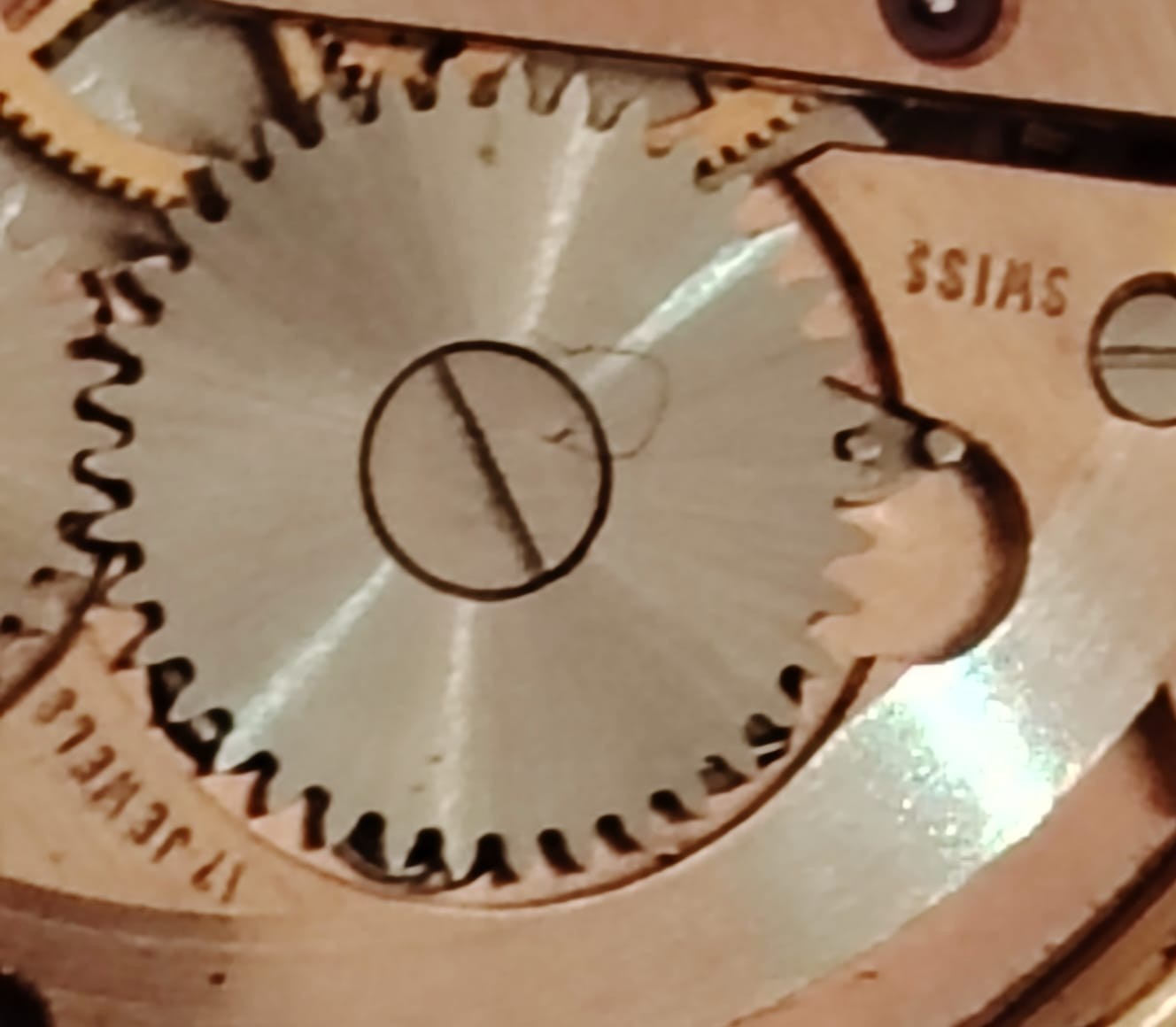 WOMEN’S 1960 JUNGFRAU WATCH – VINTAGE SWISS MADE – ETA 2409 MOVEMENT – INCABLOC