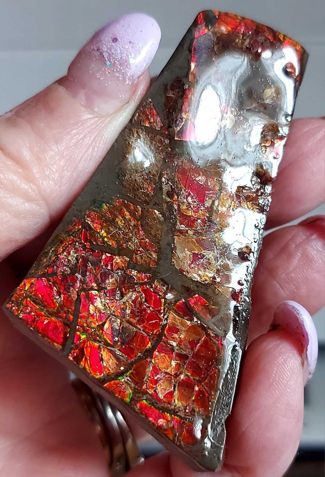 Ammolite Ammonite tabletop Display Piece 66.7x38x14mm 2931