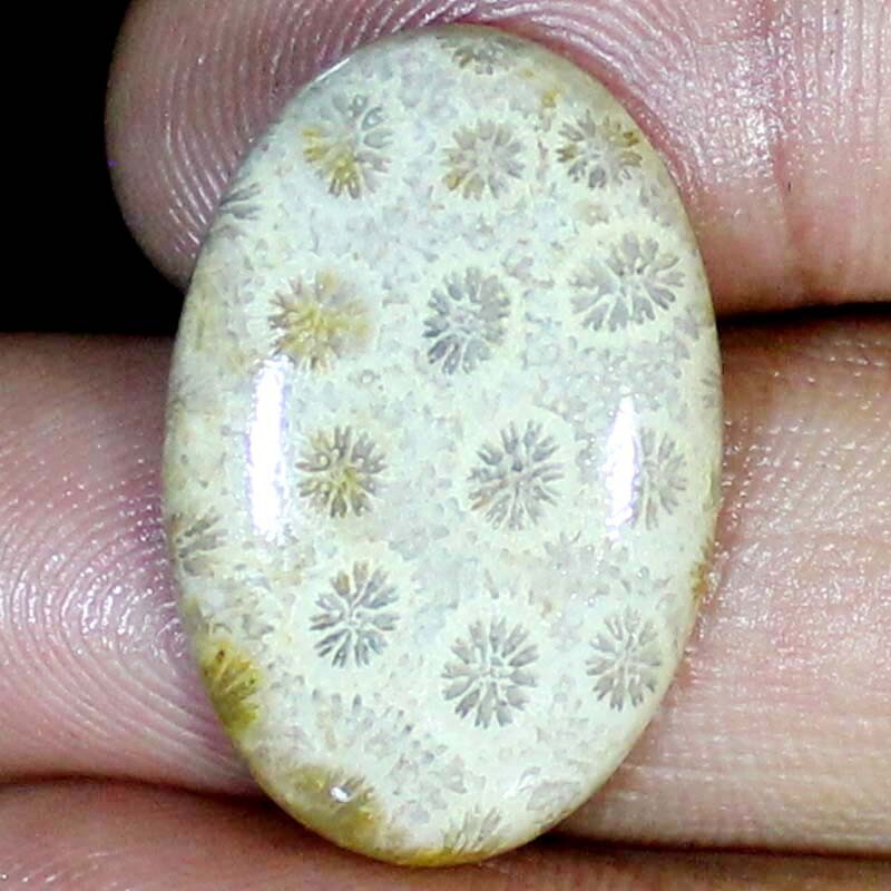 25.40 Ct 100% Natural Fossil Coral Oval Cabochon Loose Gemstone 20X30X5 mm BC-57